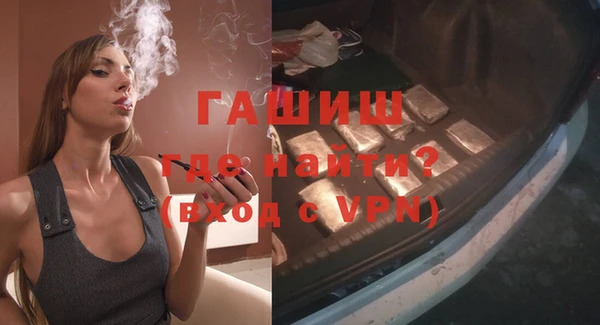 хмурый Пересвет