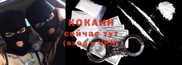 прущие грибы Белокуриха
