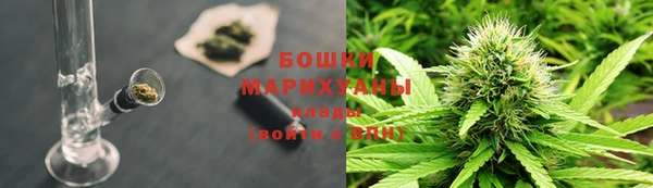 прущие грибы Белокуриха