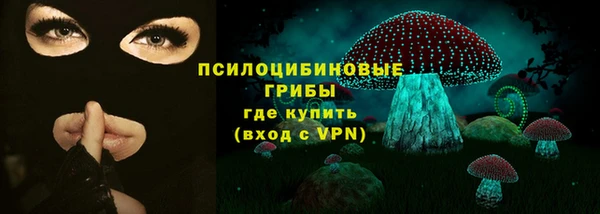 прущие грибы Белокуриха