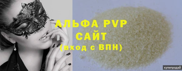 шишки Беломорск