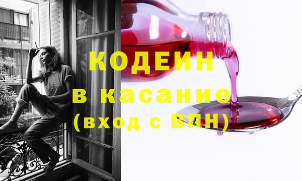 прущие грибы Белокуриха
