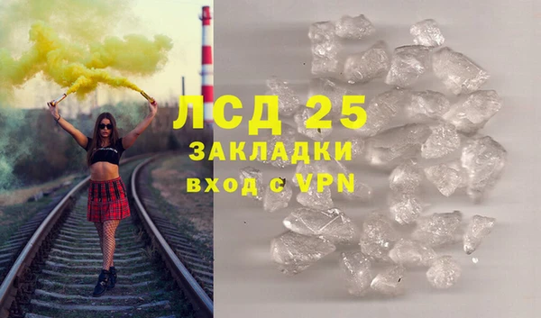 прущие грибы Белокуриха
