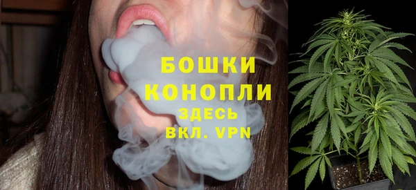 прущие грибы Белокуриха