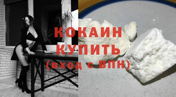шишки Беломорск