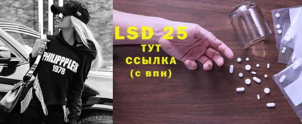 прущие грибы Белокуриха