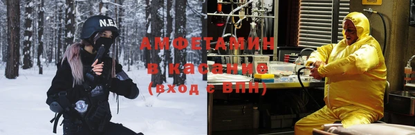 шишки Беломорск