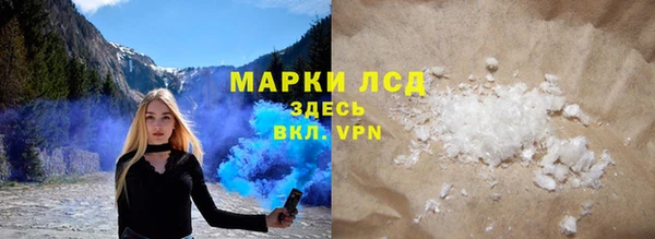 прущие грибы Белокуриха
