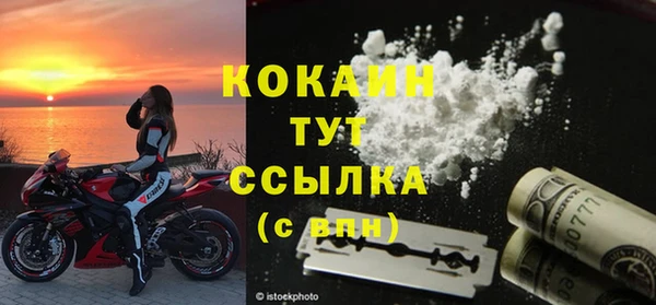 прущие грибы Белокуриха